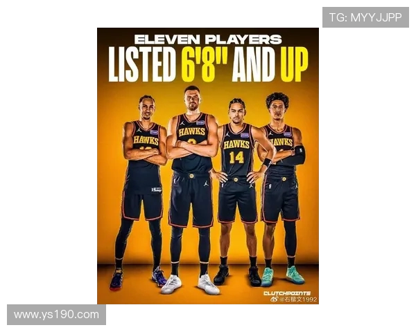 亚特兰大老鹰新赛季展望：年轻阵容崛起，目标突破季后赛新高度