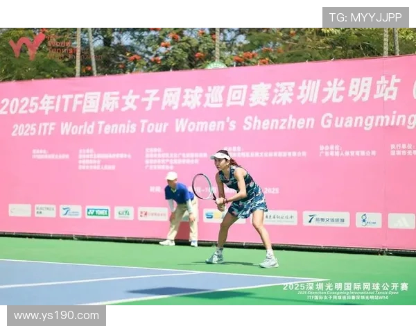 网球运动的魅力与发展：从基础技术到职业赛场的全方位解析