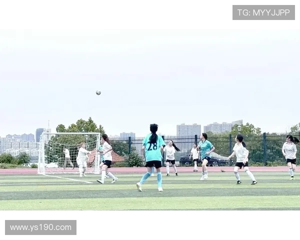 聚焦足球明星奋战绿茵精彩故事展现荣耀与激情时刻风采魅力全面展