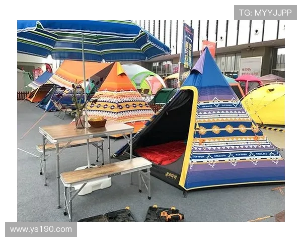 南京攀岩队速度训练与比赛策略的深入分析与探讨