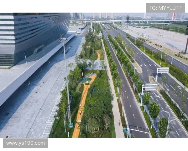 探索多元体育运动推动全民健康全面协调可持续发展的新图景观